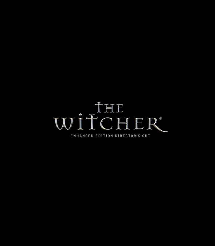 witcher_1_700_2